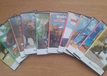 Cała kolekcja DVD wędrówki z dinozaurami