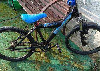 Rower dziececy Sundvall Reptile