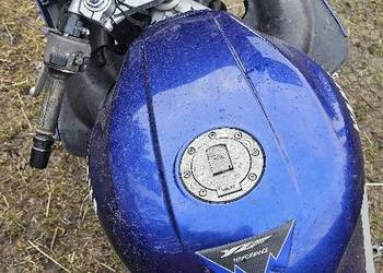 Yamaha YZF 600 Thundercat