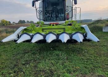 Przystawka kukurydzy cllas