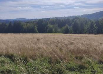 Rożnów (Gródek nad Dunajcem )działka budowlana 20,10 ara