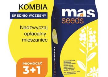 Nasiona rzepaku Kombia 3+1
