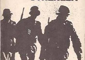 ŻÓŁTY TYGRYS - PRZED PIERWSZYM STRZAŁEM - PODGÓRSKI C.