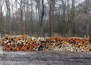 Drzewo opałowe mieszanka