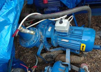 Pompa monoblokowa LFP 100PJM 230 silnik 7,5 kW