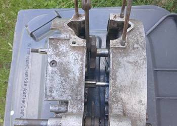 komar sztywniak pedalowiec kartery silnik