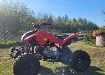 Bashan 200 duży, mocny szybki