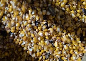 Kukurydza sucha