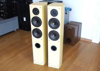 Duńskie kolumny Dantax Century 2 x 150 wat. sprawne. DOSTAWA