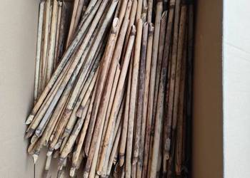 Rurki murarki trzcina do murarek domki dla pszczół