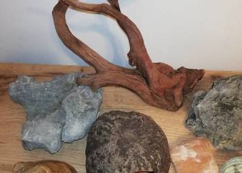 Dekoracje naturalne do akwarium - Tanio