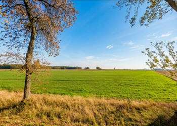 Kwadratowa działka ponad 3000 m² z WZ, przestrzeń, cisza i inwestycja