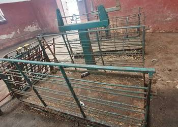 Wagi Do Zwierząt Bydło Trzoda