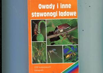 Owady i inne stawonogi lądowe