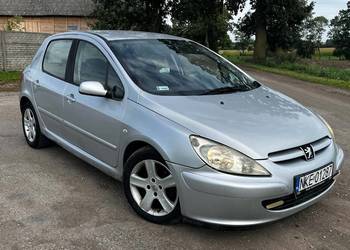Peżot 307