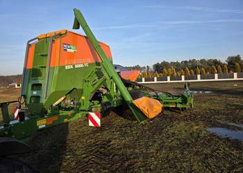 Siewni do kukurydzy Amazone ed - x 6000 TC 8 rzędowy 2011 rok