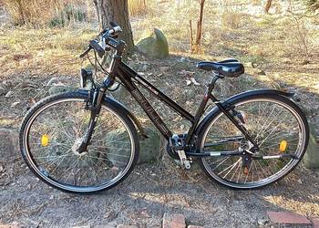 Alu Rower Miejski Damski Bulls Street Flyer 3x8 Alivio Sr Suntour 28