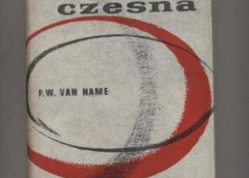 Fizyka współczesna - Van Name