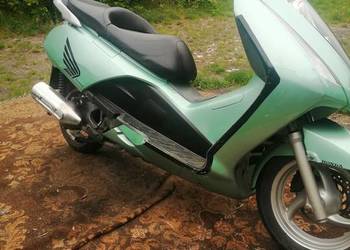 Honda Pantheon 125/50