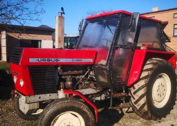 URSUS C-385 - Zarejestrowany ciągnik (zetor 8011) przyczepa wywrotka