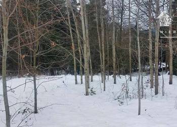 Biała Niżna, działka budowlano-rolno-leśna, 1161S/2025