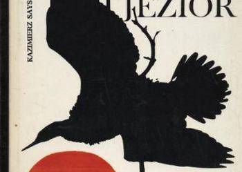Ziemia puszcz i jezior - Sayse Tobiczyk