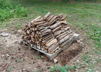 Jałowiec ,drewno jałowca ,aromatyczny do wędzenia najlepszy. Wysyłka