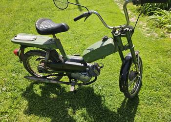 Komar kadet