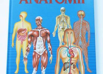 Atlas anatomii - Dr. de Bernabe Ortega