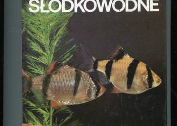 Akwarium słodkowodne