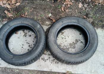 2x 195/65/15 opony zimowe Dębica Frigo 2018 r 7mm