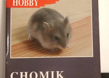 Książka, zwierzęta, Chomik Dżungarski.