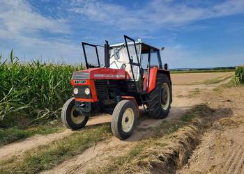 Zetor 8011 / Ursus