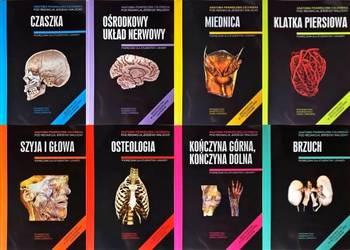 Anatomia Skawina 1-8