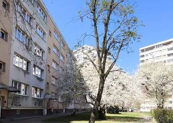 2 pokoje Niebuszewo 46,4m2 wysoki parter