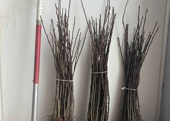 Podkładki PIGWA S1, M26, MM106, M9 T337