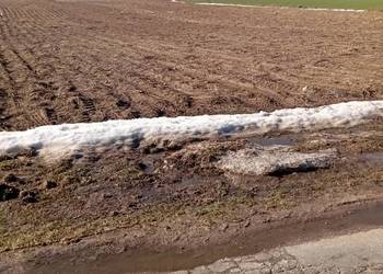 Sprzedam działkę rolną