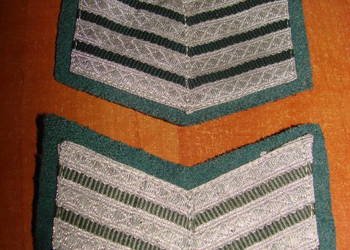 naszywka dystynkcyjna