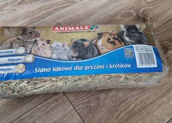 sianko łąkowe dla gryzoni i królików