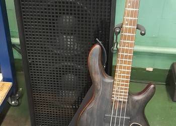 Gitara Basowa Cort B4 plus AS OPN, głośnik 200W znamionowa, Polska