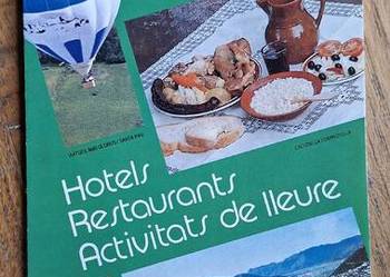 Hiszpania Olot plan miasta