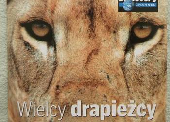 Film VCD Wielcy drapieżcy: Lwy
