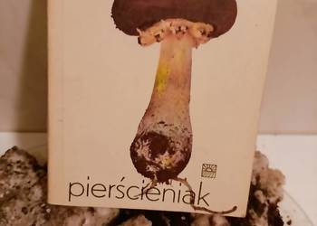 Pierścieniak Szudyga księgarnia Praga antykwariat