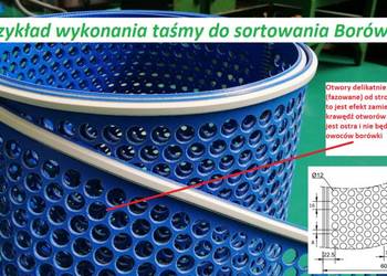 Taśma do sortowania borówki, aronii, jagód, porzeczki, bobu
