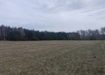 Sprzedam ziemię rolną