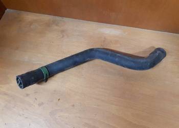 Wąż wodny Megane 1