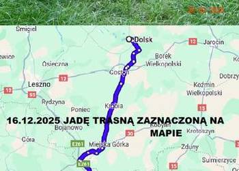 Ostatnie Sztuki Bażanty Kasztanowe Elioty (Bażant) z 2025 - Samce i Samice