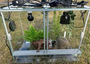 Terarium dla gekona lamparciego. Odbiór osobisty.