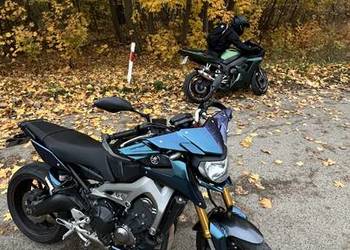 Yamaha MT09 890 790 07 800 bestia