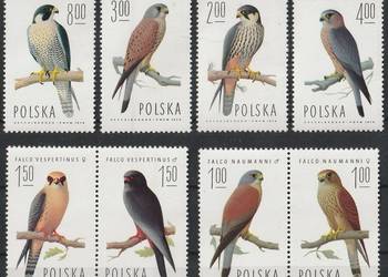 POLSKA - SOKOŁY - 1974 - CZYSTE **